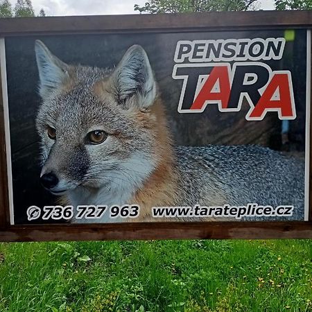 Pension Tara Теплице-над-Метуи Экстерьер фото