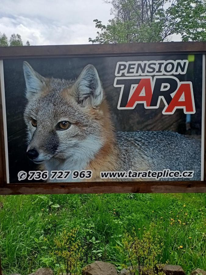 Pension Tara Теплице-над-Метуи Экстерьер фото